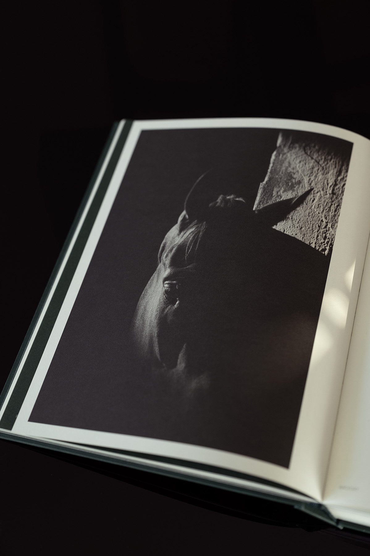 L1011853c MONO